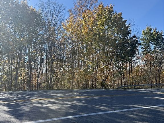 5th image of 12878 Big Tree Rd Lot 14
