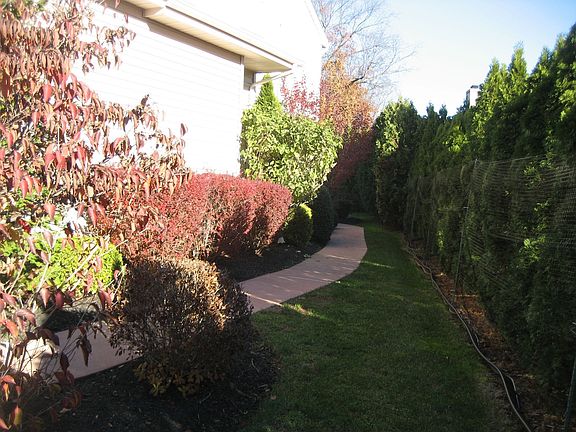 Side Walkway-Prof Landscaped