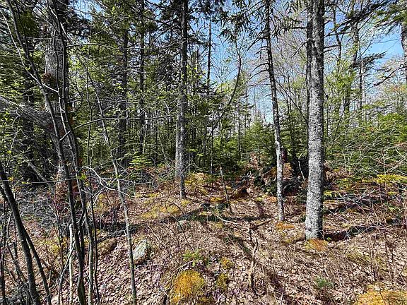 5th image of 23 Highway 325 Lot 7