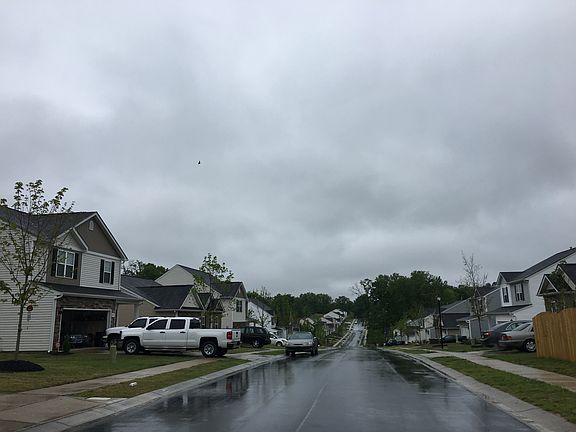 5th image of 9003 Avery Meadows Dr