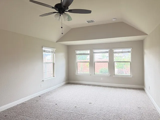 1009 Tree Shadow Ln — Photo 11
