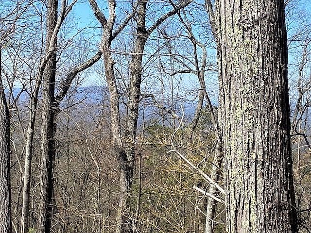 2nd image of 848 Orchard Dr Lot 848