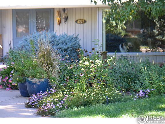 Spring time blooms throughout front yard