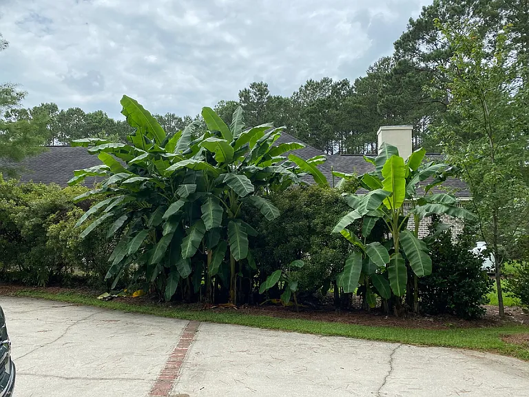 23 Lake Heron Ct W — Photo 50