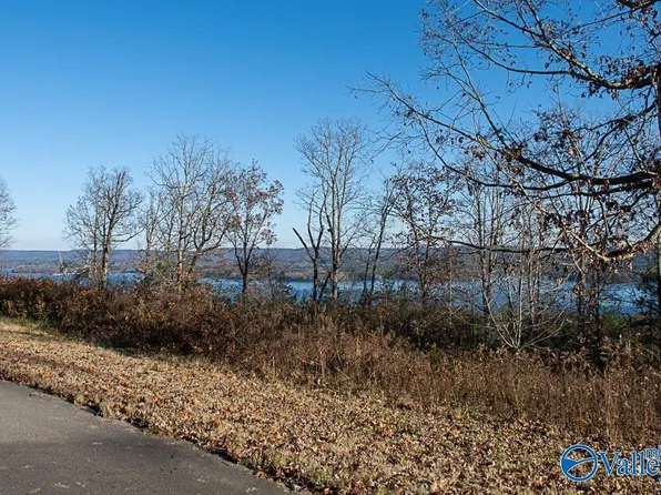 10 Keene Point Dr, Grant, AL 35747