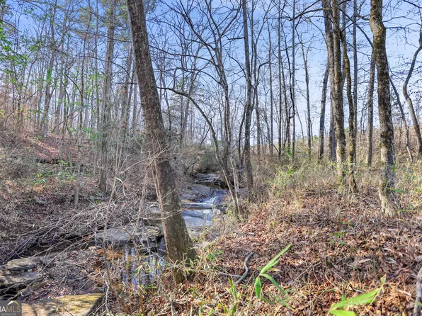 48.22 Franklin Pkwy, Franklin, GA 30217