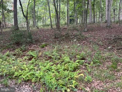 9 Paradise Rd, Wardensville, WV, 26851