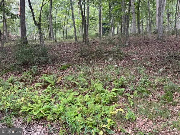 9 Paradise Rd, Wardensville, WV 26851