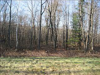 5th image of 10718 State Route 22