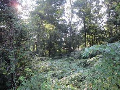 4th image of 2062 Rockdale Cir
