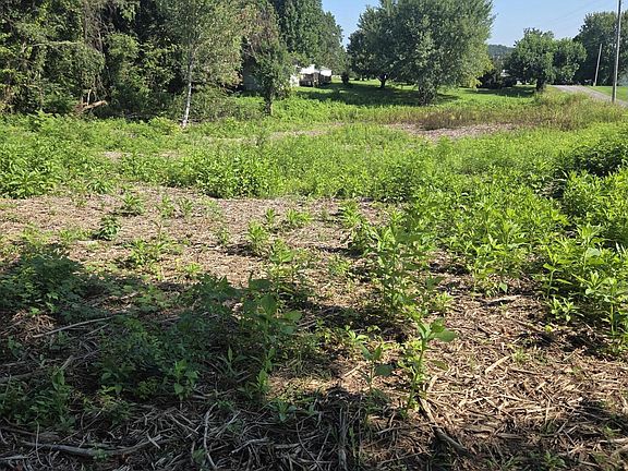 3rd image of 221 Cassi Rd