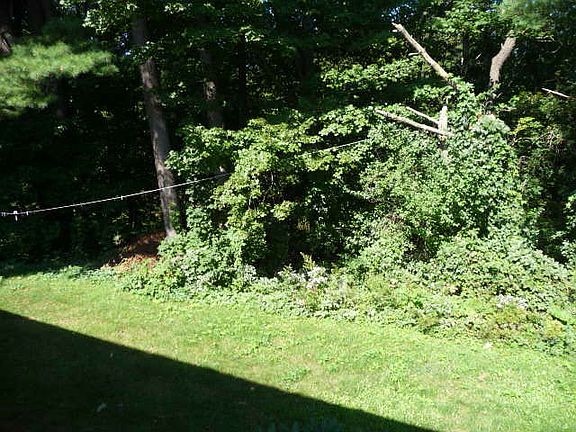 5th image of 396 Leslie Dr