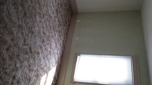 3rd image of 3810 Orleans Ave