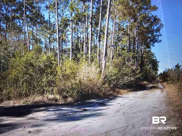 35542 Rester Ave, Lillian, AL 36549