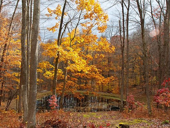 18th image of 9152 Lyman Rd Lot 30