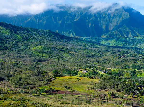 2818 Kamookoa #Apt 5, Kilauea, HI 96754