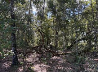 4644 S Ironwood Point, Inverness, FL 34450