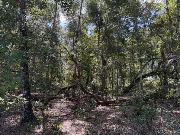 4644 S Ironwood Point, Inverness, FL 34450