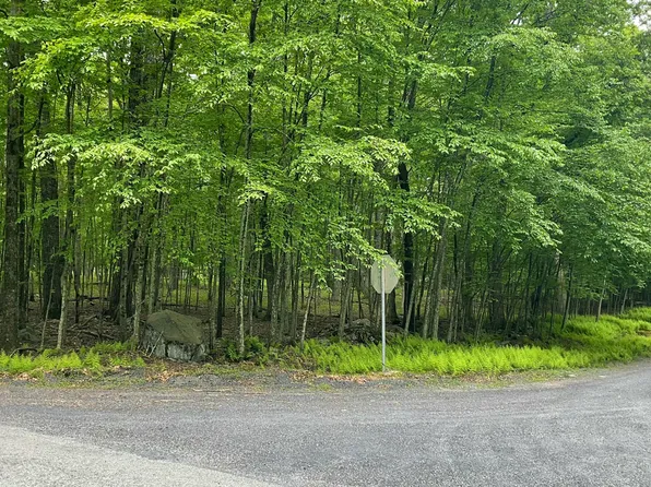 147 Ledgeway Dr, Dingmans Ferry, PA 18328