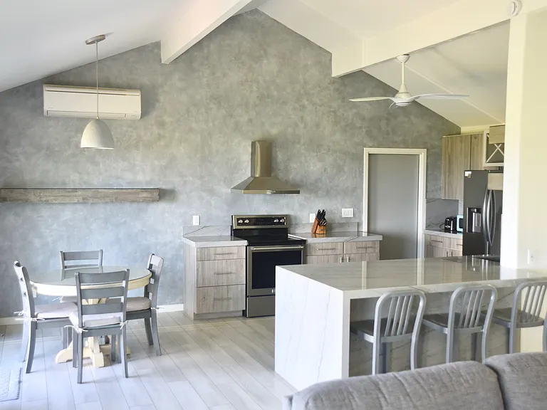 Open Kitchen/Living Space