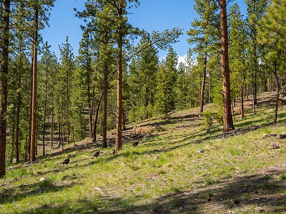 5th image of 3605 Hubbart Dam Rd