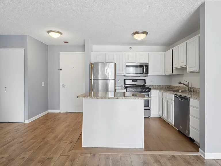 545 N Dearborn St #3008 — Photo 7