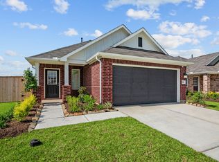 224 Sage River Ct, Willis, TX 77378