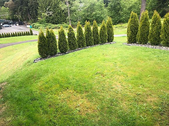 5th image of 3026 14th Ave NW