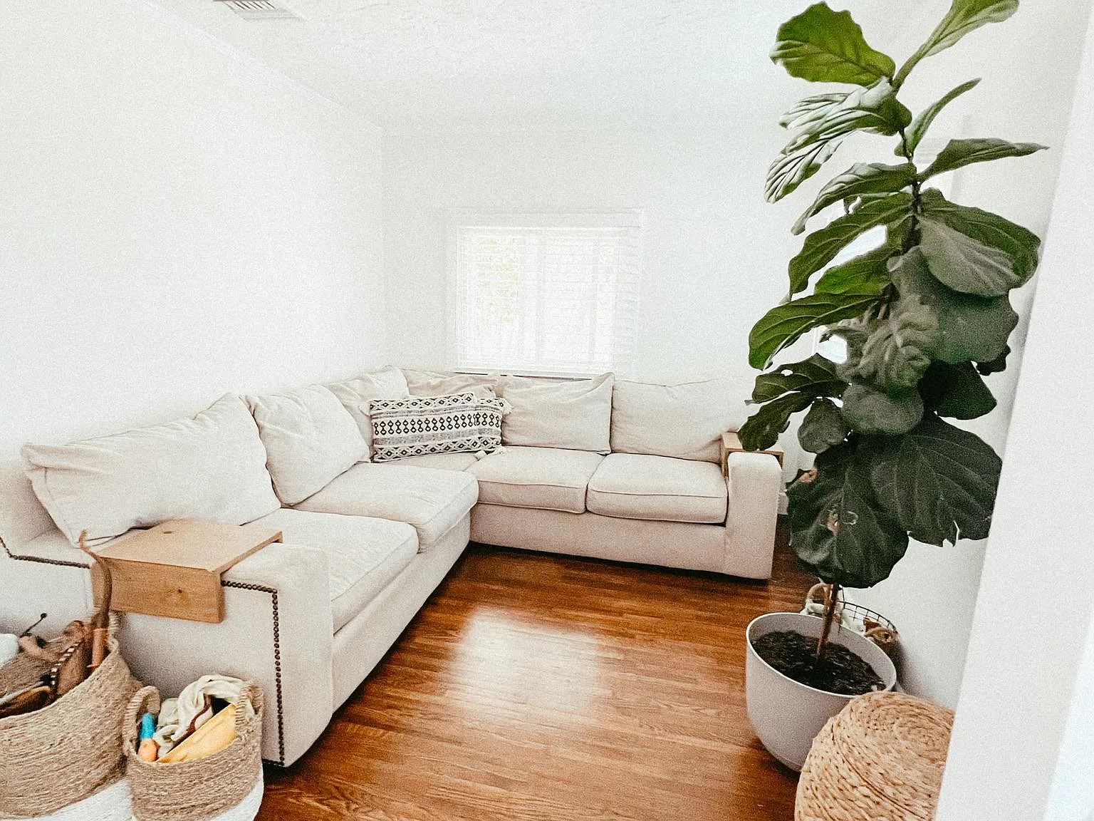 423 Hillcrest St — Photo 3