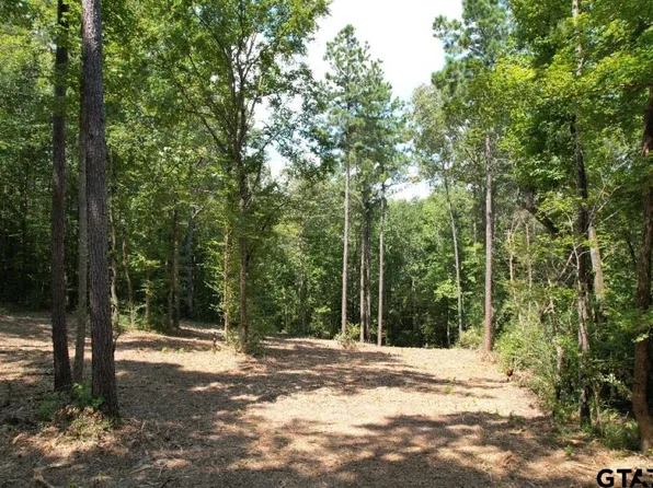County Road 3704, Joaquin, TX 75954