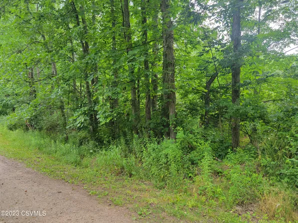 Meadow Ln, Orangeville, PA 17859