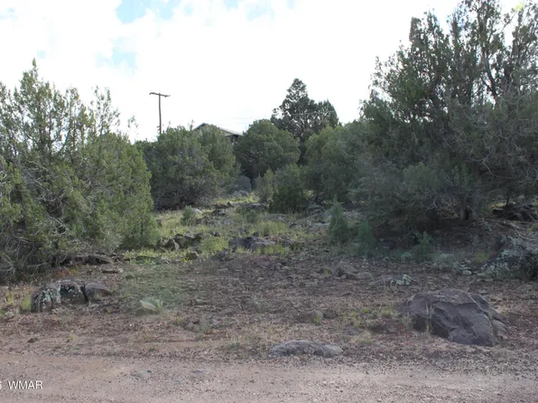 8319 Lone Pine Dr, Show Low, AZ 85901