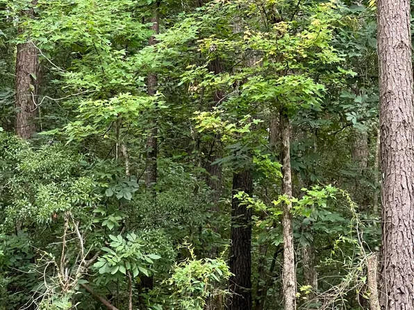 Bill Davis Rd, Summerton, SC 29148