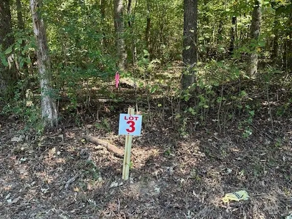 0 Sales Landing Rd Lot 3, Camden, TN 38320