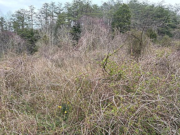 4th image of 0 Township Road 319 S