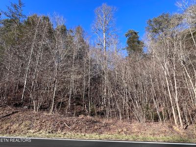 17 & 18 Jones Cove Rd, Sevierville, TN, 37876