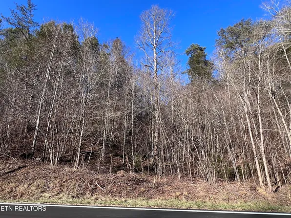 17 & 18 Jones Cove Rd, Sevierville, TN 37876
