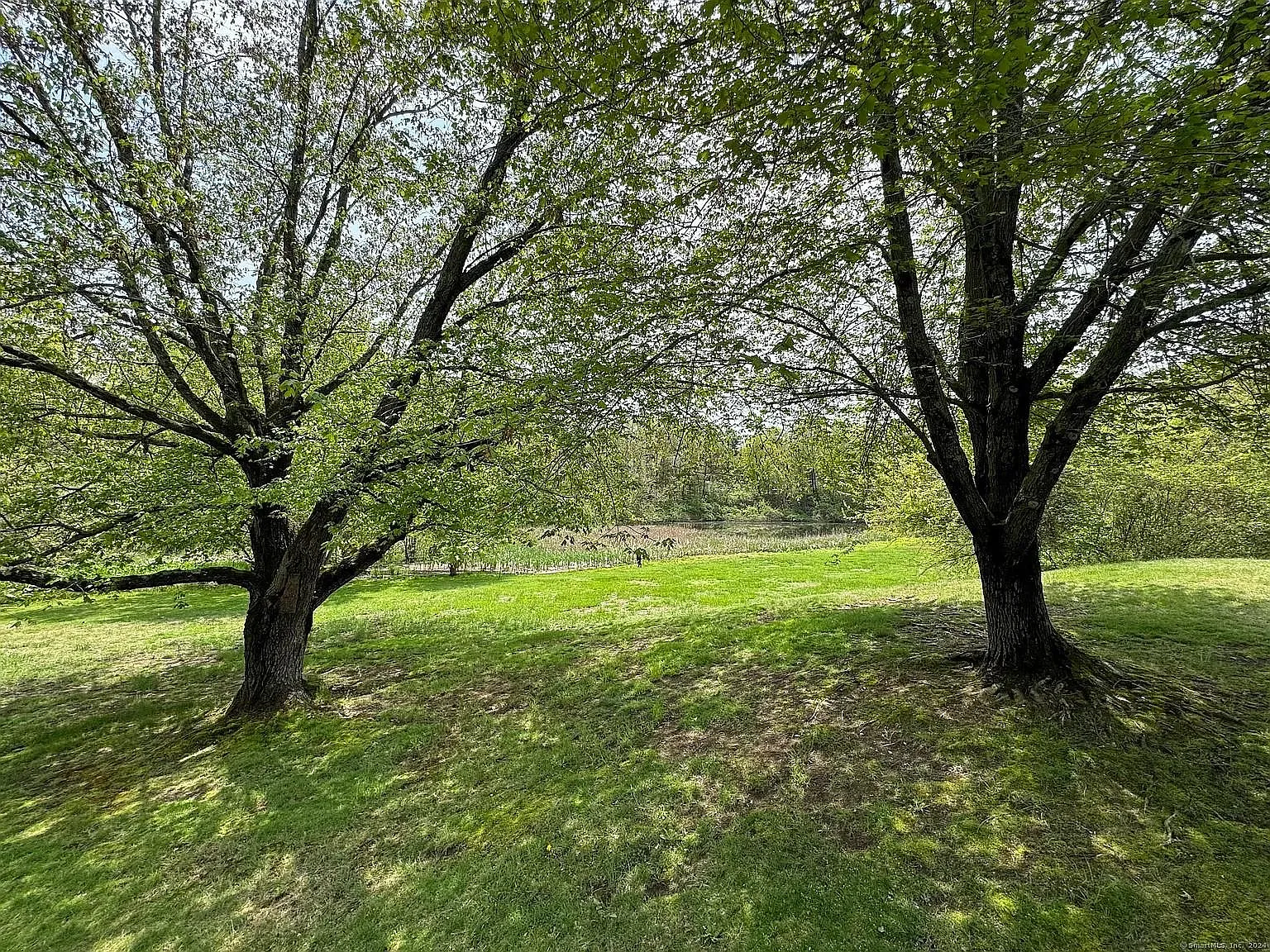 1 bed, 772 sqft, $1,800 — Photo 4