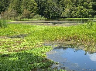 13333 E Shawnee Trl, Inverness, FL 34450