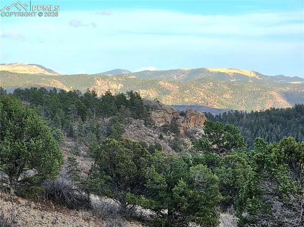 204 Pine Rd, Florissant, CO 80816