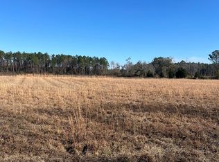TRACT 2 Little Hurricane Creek Rd, Waycross, GA 31503