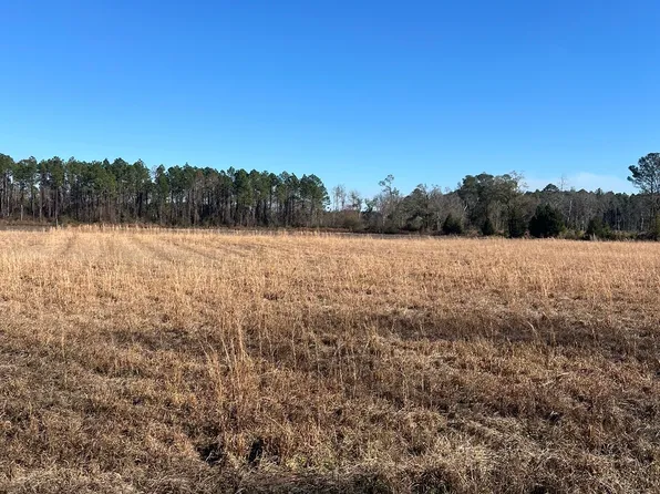 TRACT 2 Little Hurricane Creek Rd, Waycross, GA 31503