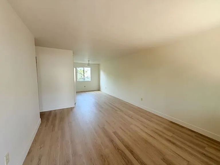 Junipero LB — Photo 6