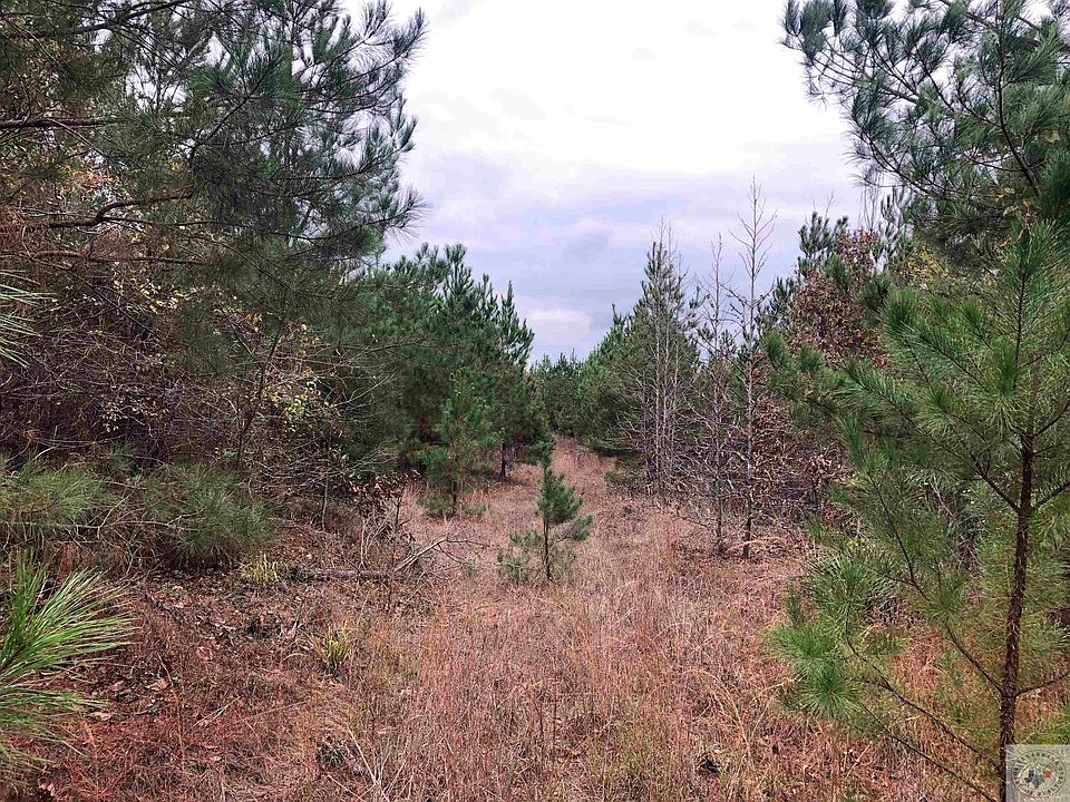 2nd image of County Road 1110