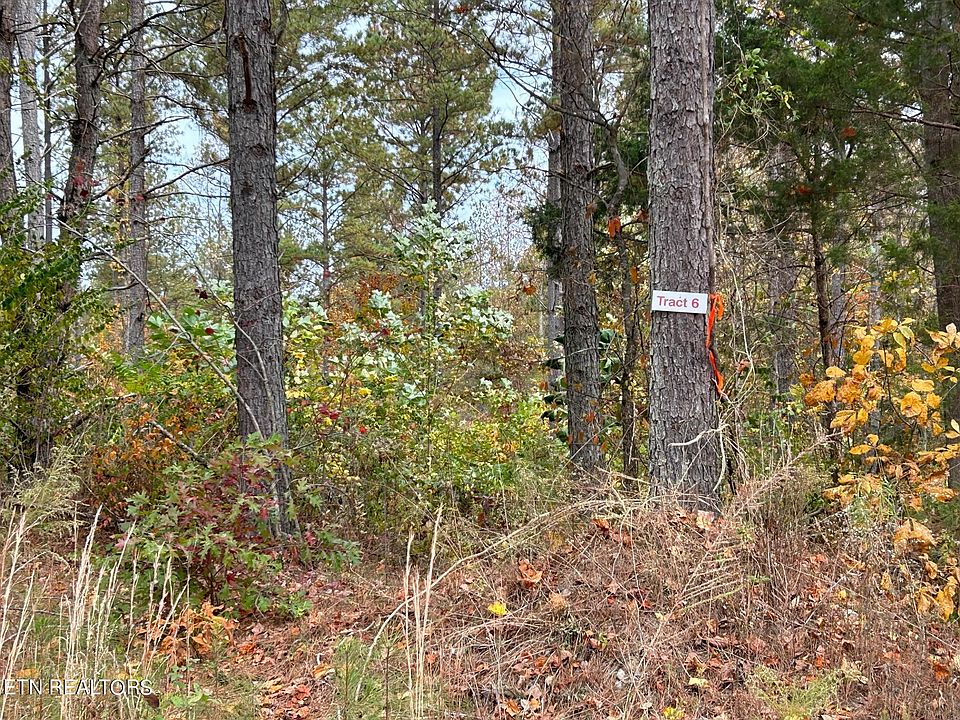 1st image of TRACT 6r County Rd #351