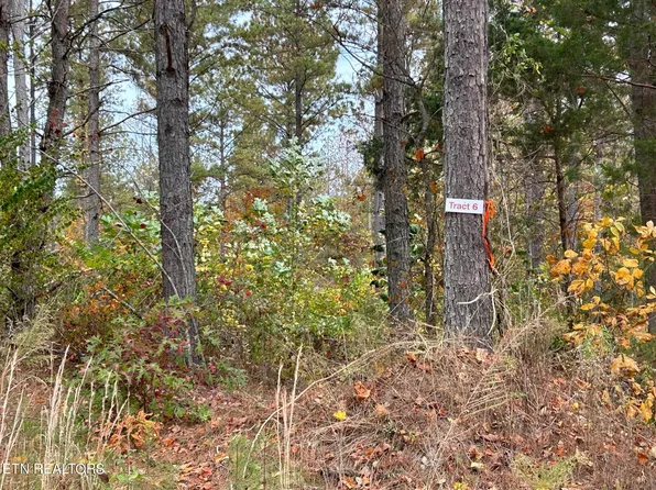TRACT 6r County Rd #351, Niota, TN 37826