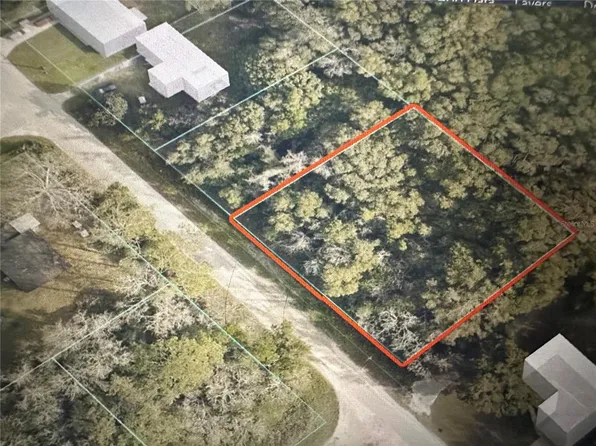 SE 44th Ave Lot 1, Summerfield, FL 34491