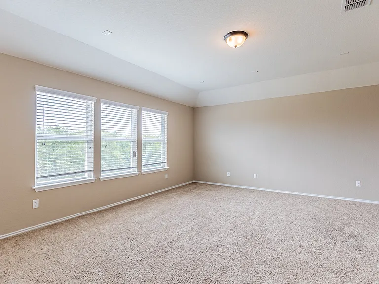 12939 Texas Gold — Photo 22