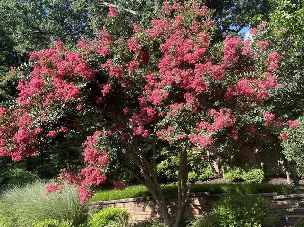 7003 Polins Ct, Alexandria, VA 22306