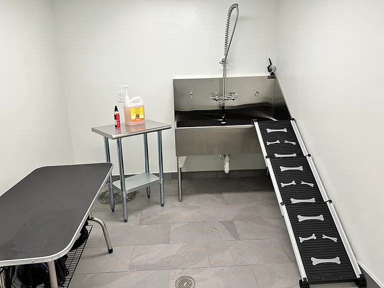 Pet washing station